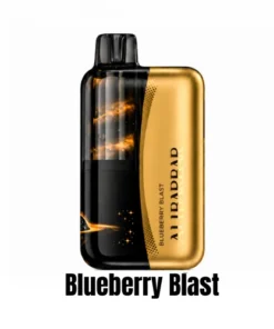 ALIBARBAR Swirl 13000 Blueberry Blast