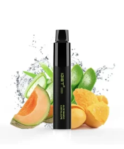 IGET Legend 4000 Aloe Mango Cantaloupe