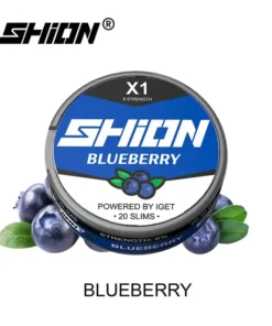 IGET Shion X1 Blueberry Ice 6mg