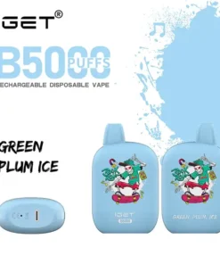 IGET B5000 Green Plum Ice