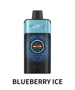 IGET One 12000 Blueberry Ice
