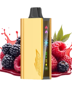 JNR Cruiser 12000 Mixed Berry