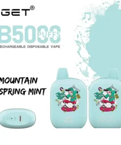 IGET B5000 Mountain Spring Mint