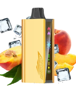 JNR Cruiser 12000 Peach Ice