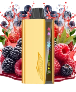 JNR Cruiser 12000 Quadruple Berry